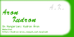 aron kudron business card